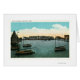 View of White Elephant Cards