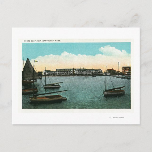 View of White Elephant Postcard (Front)