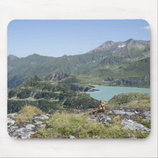 View Over Tauernmoossee Mouse Pad