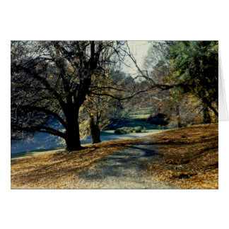 View through Beech Grove Cards