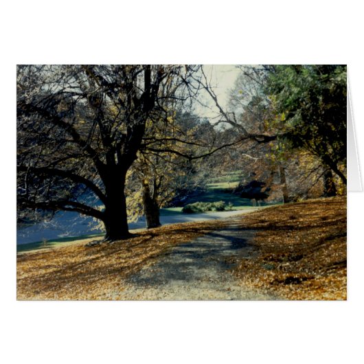 View through Beech Grove Cards (Front Horizontal)