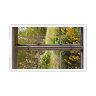 View through old window acrylic tray