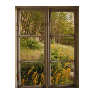 View through old window wood wall art