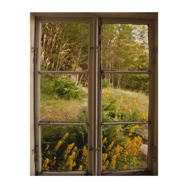 View through old window wood wall art (Front)