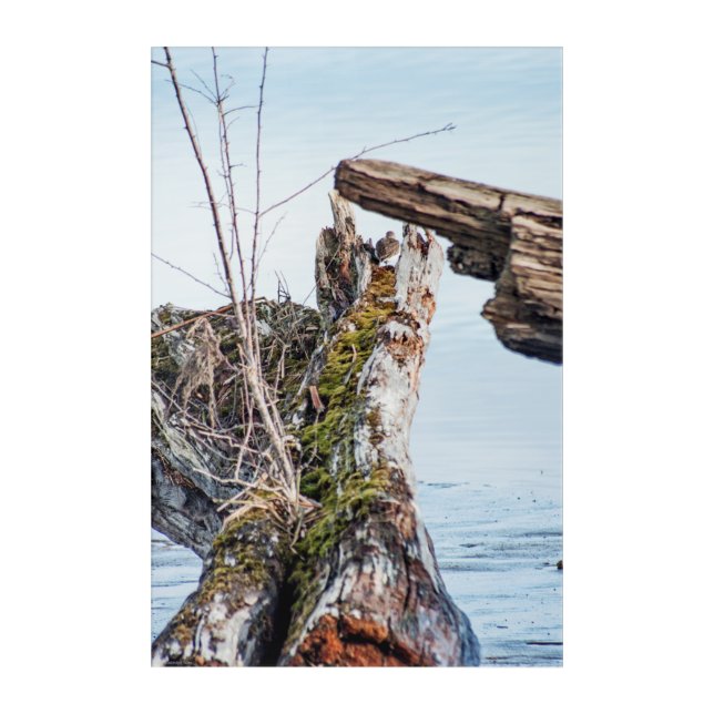 Viewing Box Acrylic Print (Front)