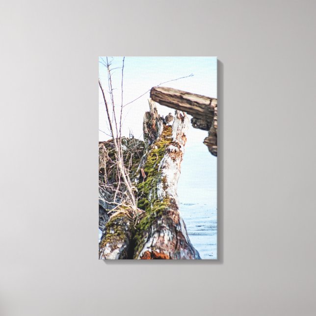 Viewing Box Canvas Print (Front)