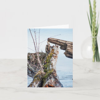 Viewing Box Card
