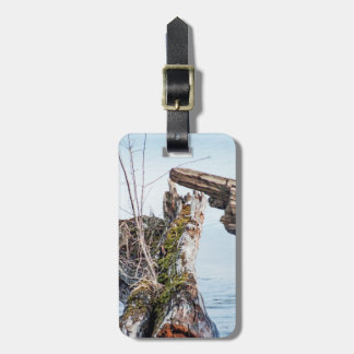Viewing Box Luggage Tag