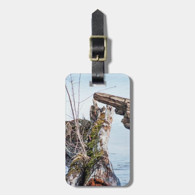 Viewing Box Luggage Tag (Front Vertical)