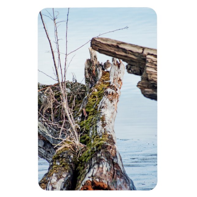 Viewing Box Magnet (Vertical)