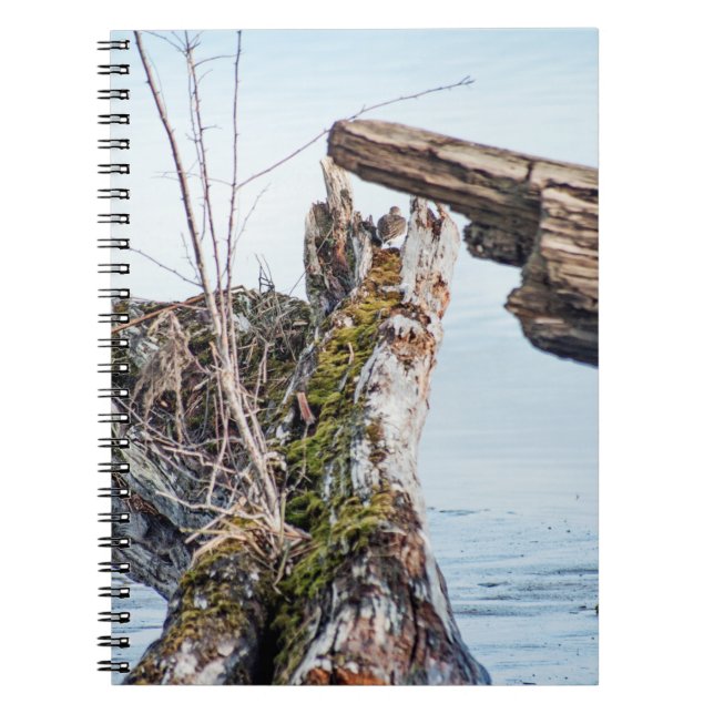 Viewing Box Notebook (Front)