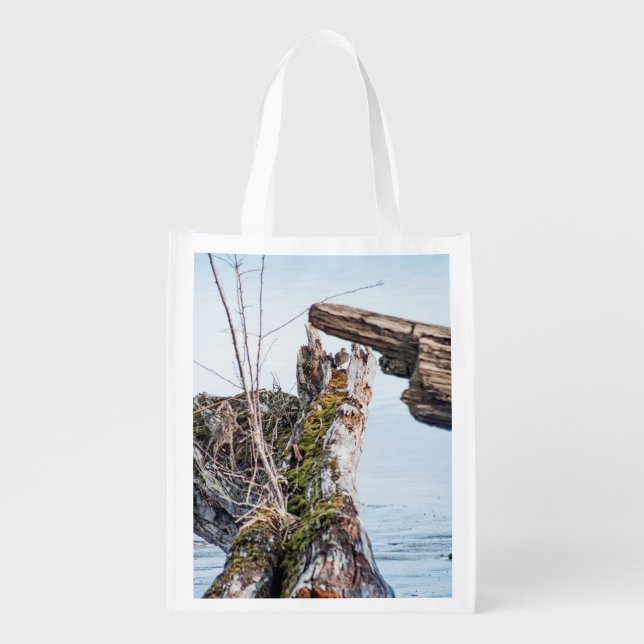 Viewing Box Reusable Grocery Bag (Front)