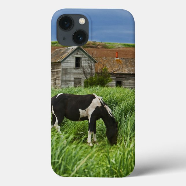 Viewing horses in a field in the Palouse 2 Case-Mate iPhone Case (Back)