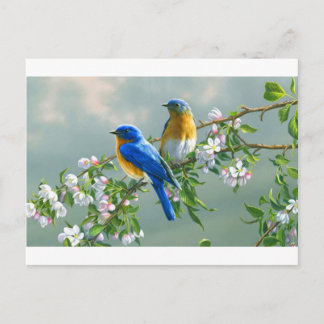 viewing-paintings-flowers-birds-animals-desktop-l- postcard