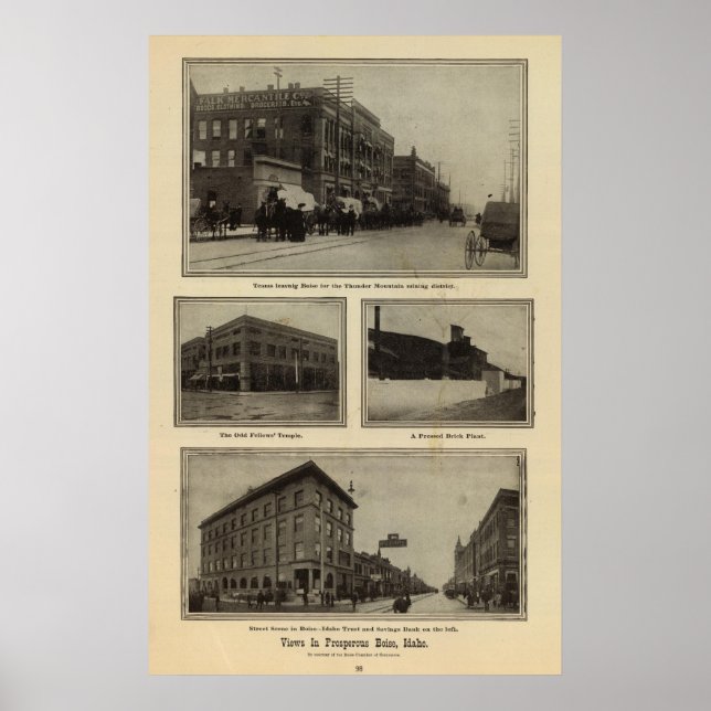 Views, Boise, Idaho Poster (Front)