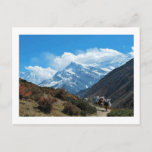 Views from Nepal on the way to MOUNT EVEREST Postcard<br><div class="desc">Orientation: Postcard Whether you’re sending a warm welcome, a heartfelt thanks or a special announcement, Zazzle’s custom postcards are the perfect way to keep in touch. Add your favorite picture or pick a customizable design and make someone’s day with a simple "hi"! Dimensions: 4.25" x 5.6" (portrait) or 5.6" x...</div>
