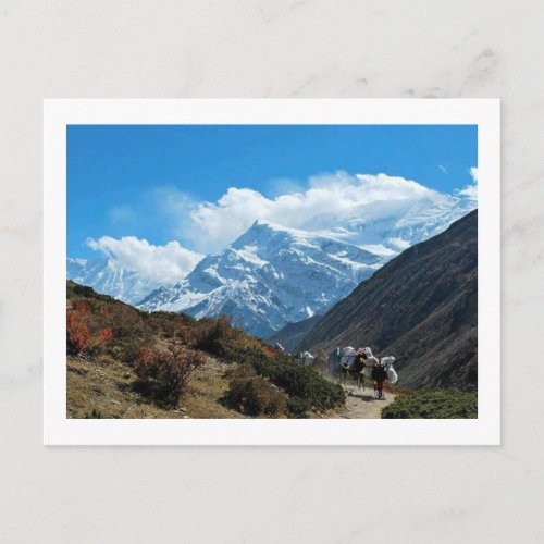 Views from Nepal on the way to MOUNT EVEREST Postcard