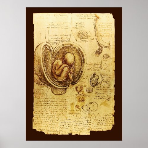 Views of a Fetus in the WombOb_Gyn Medical Poster