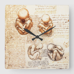 Views of a Fetus in the Womb,Ob-Gyn Medical Square Wall Clock