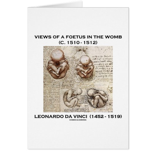 Views Of A Foetus In The Womb (Leonardo da Vinci) Cards (Front)