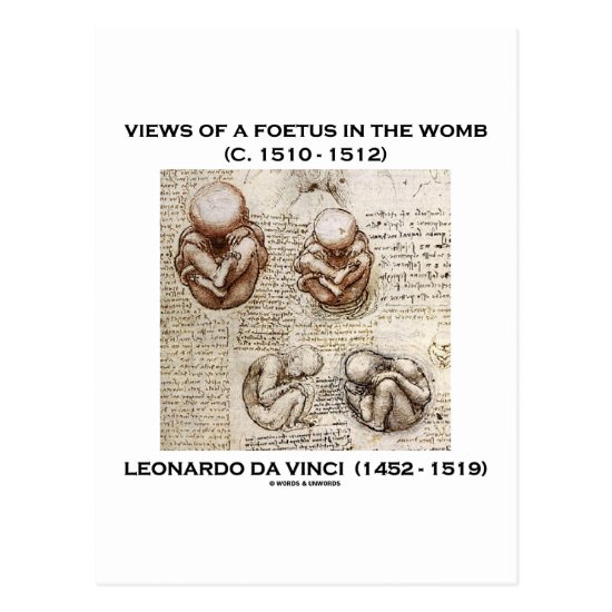 Views Of A Foetus In The Womb (Leonardo da Vinci) Postcard