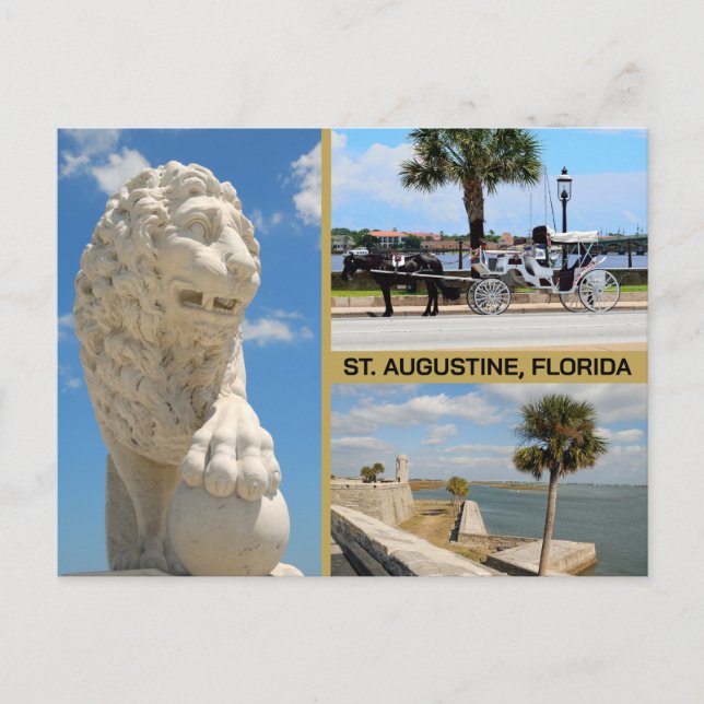 Views of St. Augustine, Florida Postcard (Front)