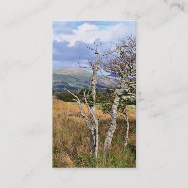 VIEWS OF WALES BUSINESS CARD (Front)