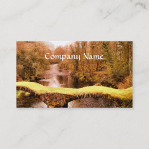 VIEWS OF WALES BUSINESS CARD