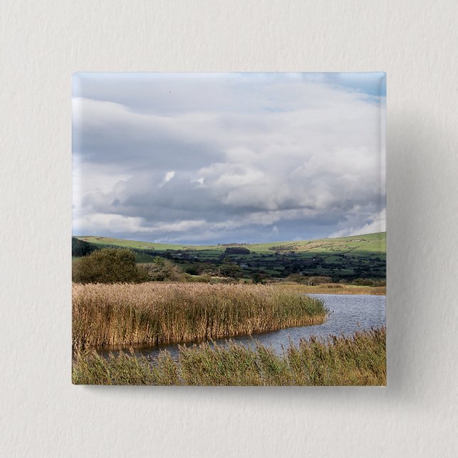 VIEWS OF WALES BUTTON (Front)