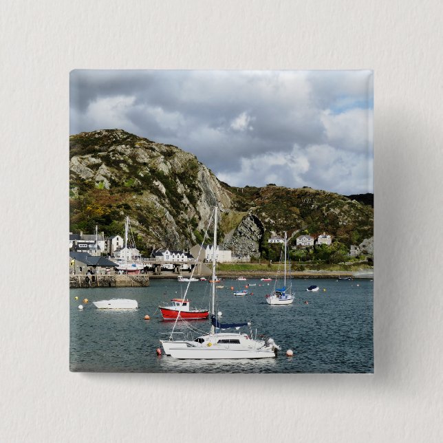 VIEWS OF WALES BUTTON (Front)