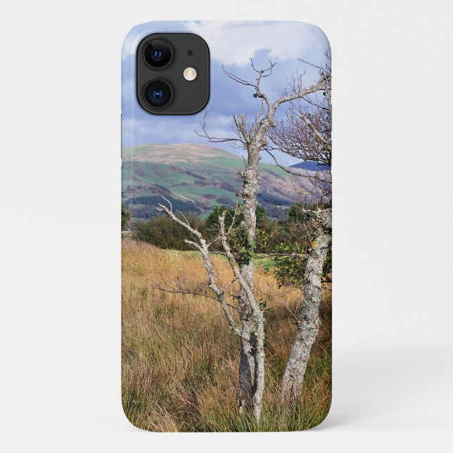 VIEWS OF WALES Case-Mate iPhone CASE (Back)