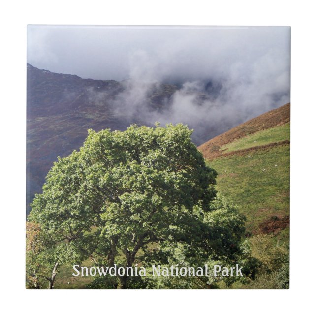 VIEWS OF WALES CERAMIC TILE (Front)