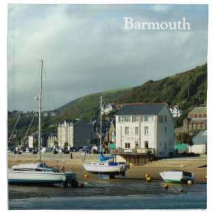 VIEWS OF WALES CLOTH NAPKIN