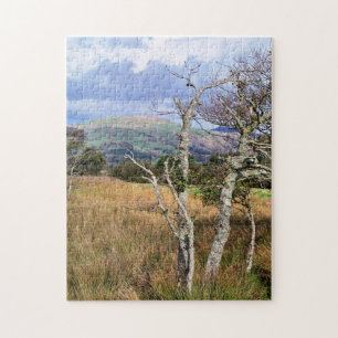 VIEWS OF WALES JIGSAW PUZZLE