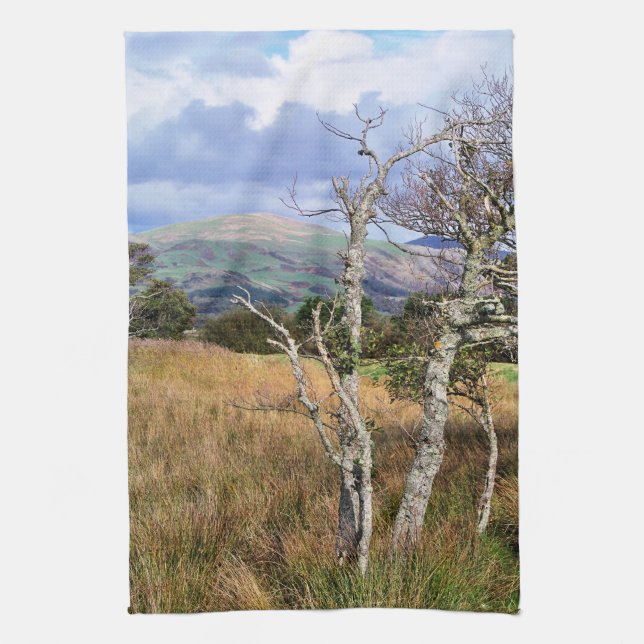 VIEWS OF WALES KITCHEN TOWEL (Vertical)