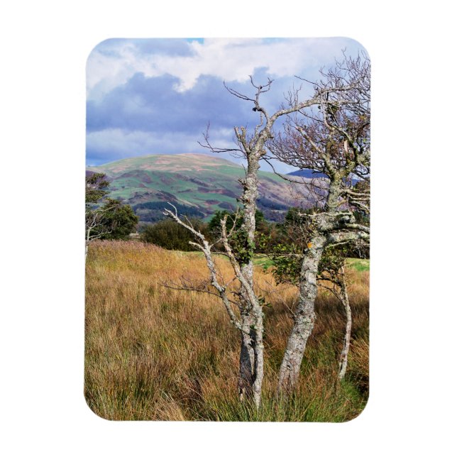 VIEWS OF WALES MAGNET (Vertical)