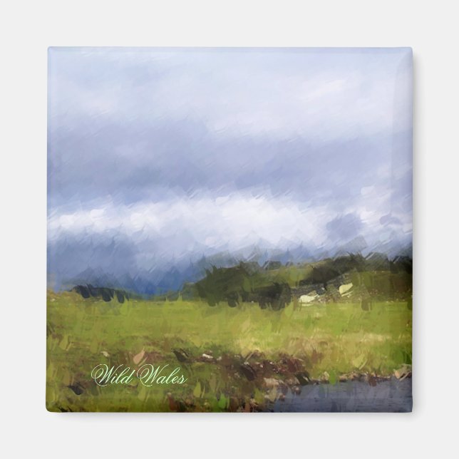 VIEWS OF WALES MAGNET (Front)