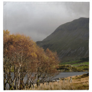 VIEWS OF WALES NAPKIN