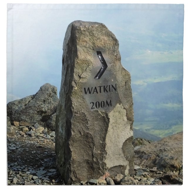 VIEWS OF WALES NAPKIN (Front)