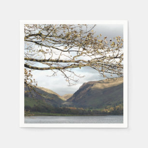 VIEWS OF WALES NAPKINS