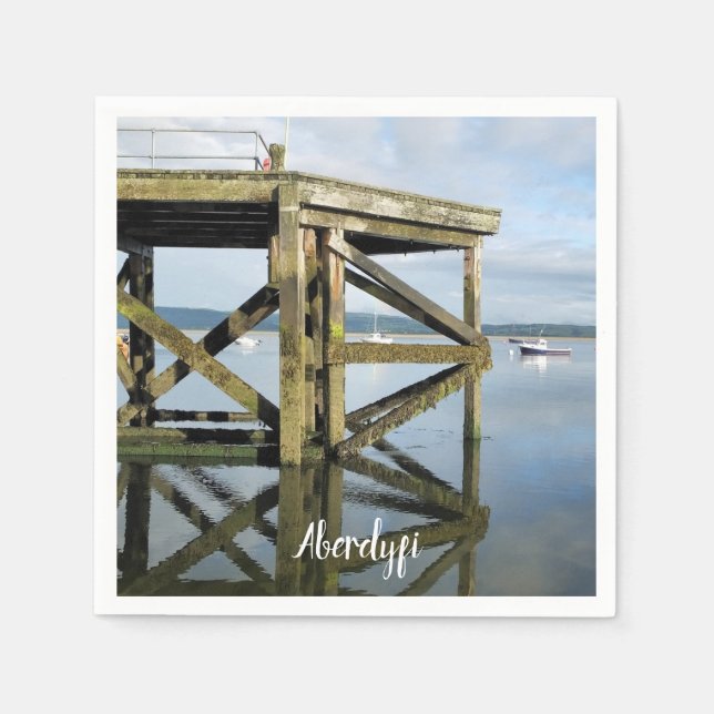 VIEWS OF WALES NAPKINS (Front)