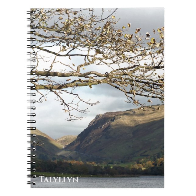 VIEWS OF WALES NOTEBOOK (Front)