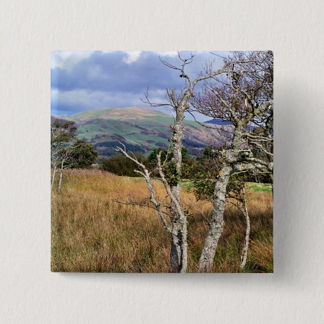 VIEWS OF WALES PINBACK BUTTON (Front)