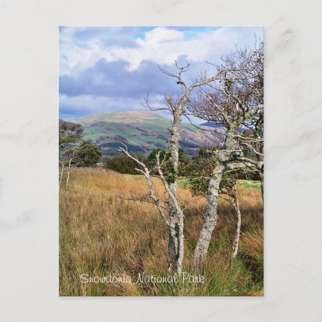 VIEWS OF WALES POSTCARD (Front)