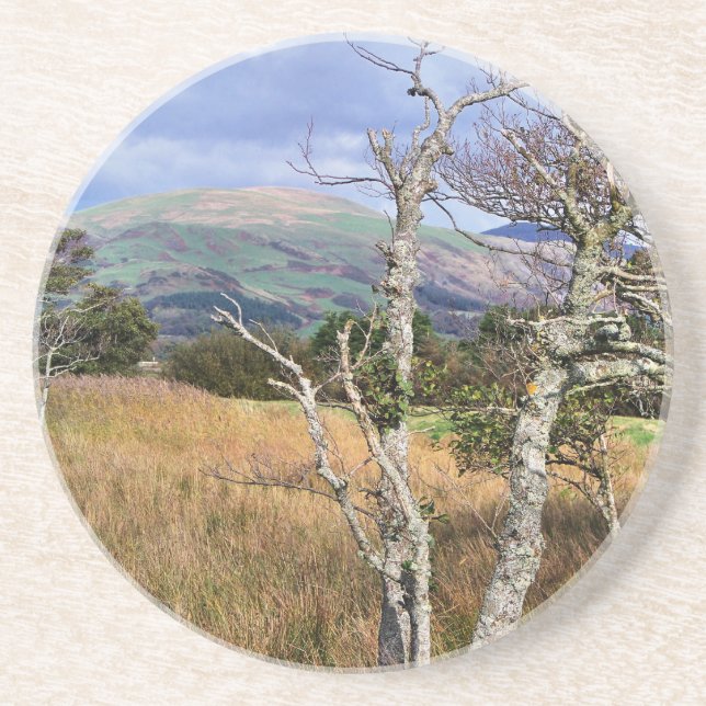 VIEWS OF WALES SANDSTONE COASTER (Front)