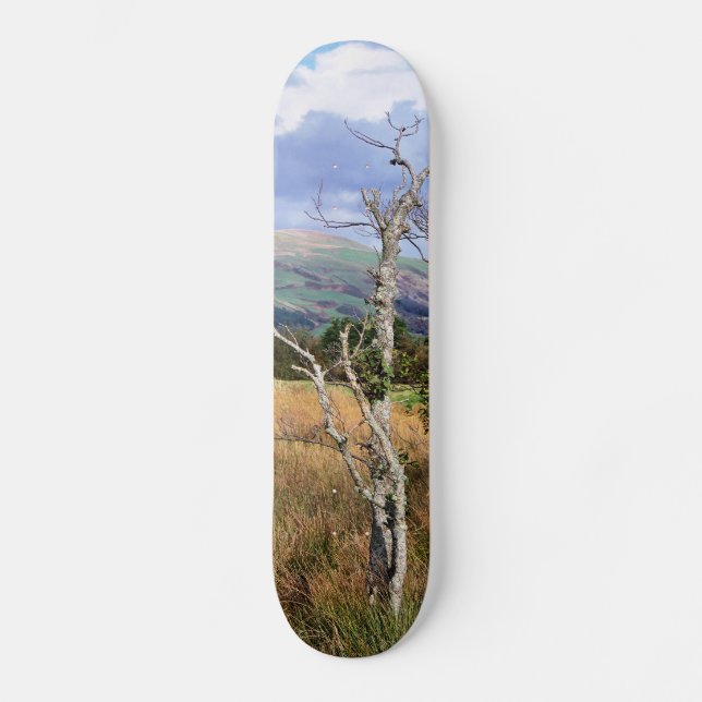 VIEWS OF WALES SKATEBOARD DECK (Front)