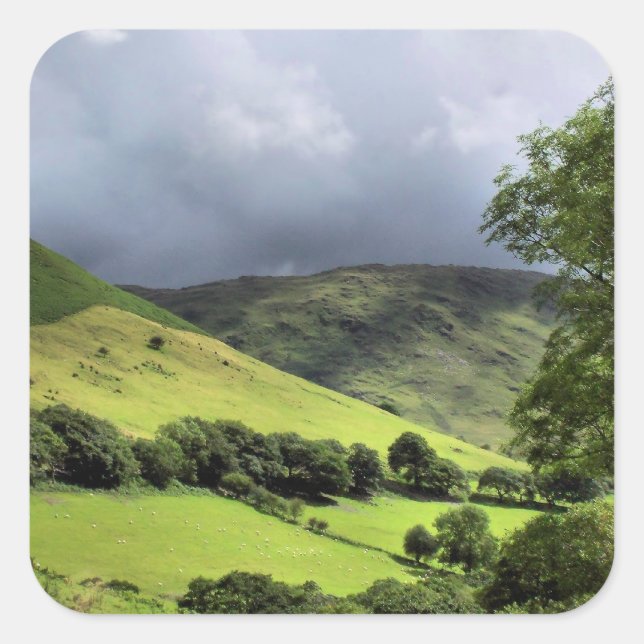 VIEWS OF WALES SQUARE STICKER (Front)