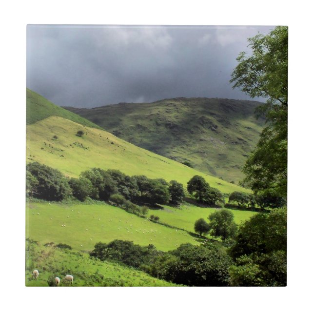 VIEWS OF WALES UK TILE (Front)