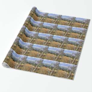 VIEWS OF WALES WRAPPING PAPER