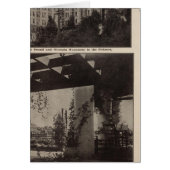 Views, Seattle (Front)